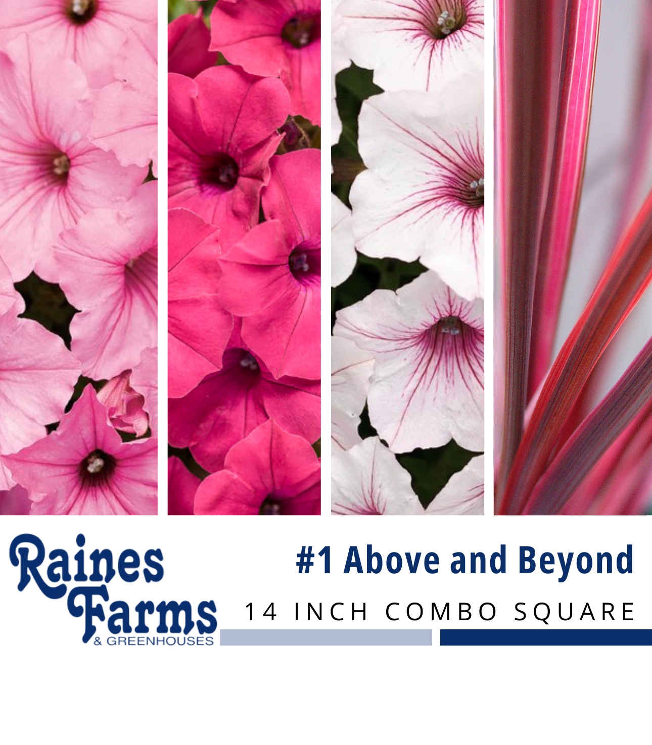 #1: Above and Beyond 14 Inch Combo Square Planter