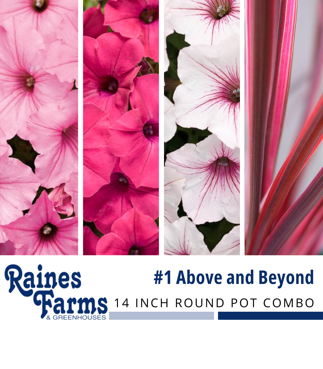 #1: Above and Beyond 14 Inch Round Pot Combo Planter