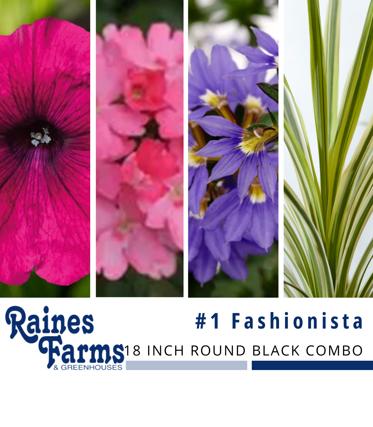 #1: Fashionista 18 Inch Round Black Combo Planter