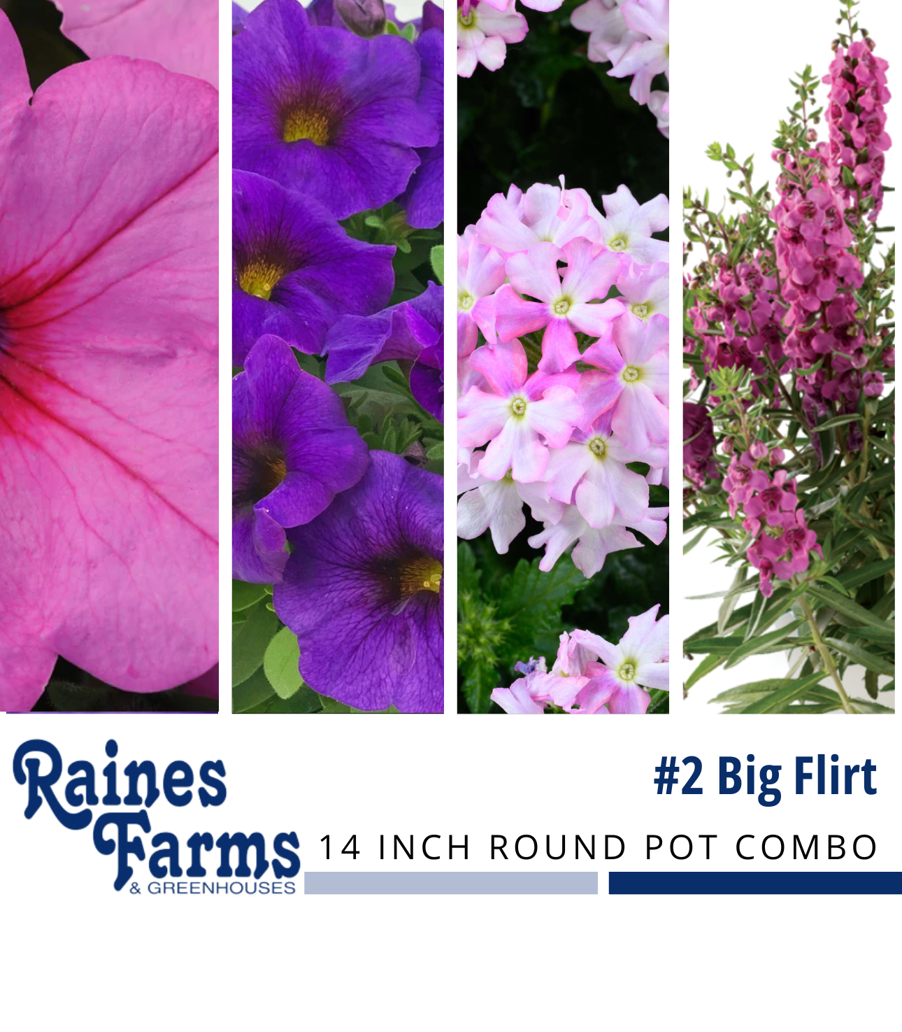 #2: Big Flirt 14 Inch Round Pot Combo Planter