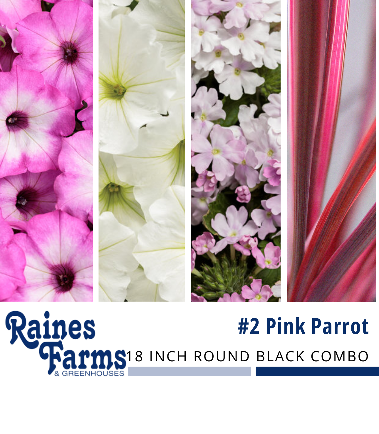 #2: Pink Parrot 18 Inch Round Black Combo Planter