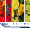 #2: Scarlet Skies 18 Inch Round Black Tropical Combo Planter 1