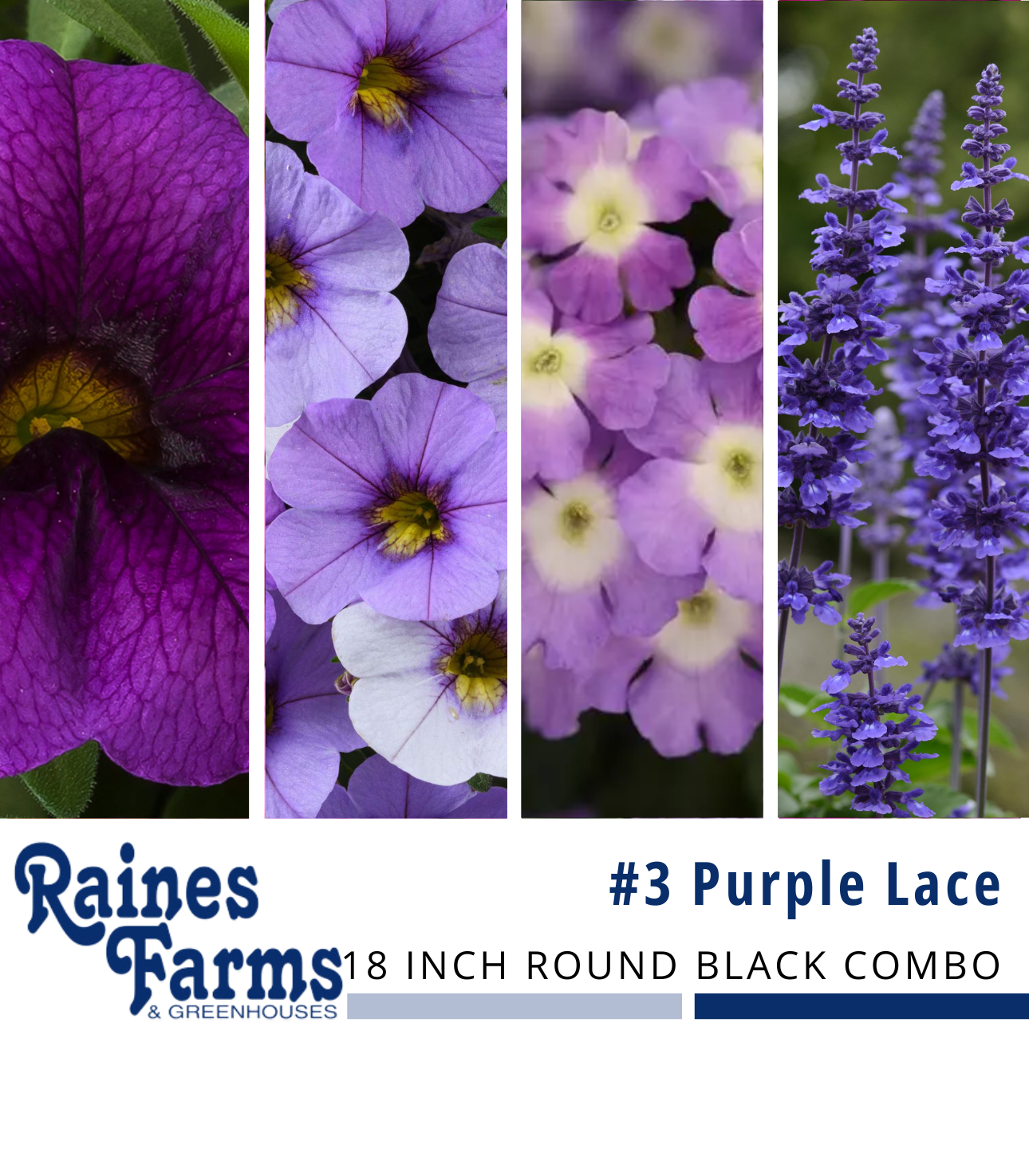 #3: Purple Lace 18 Inch Round Black Combo Planter