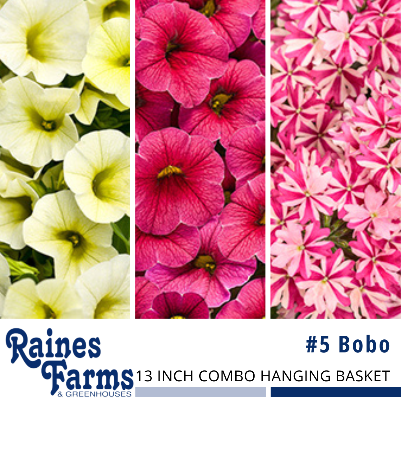 #5: Bobo 13 Inch Combo Hanging Basket