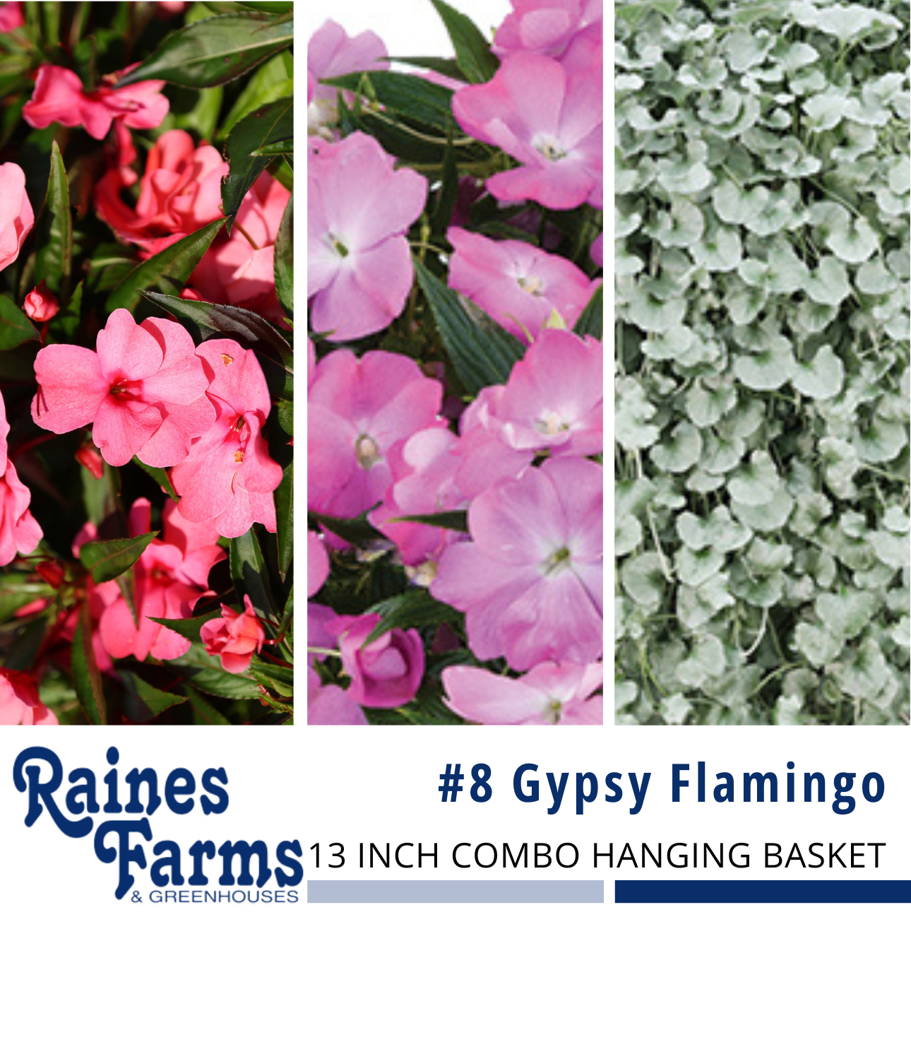 #8: Gypsy Flamingo 13 Inch Combo Hanging Basket