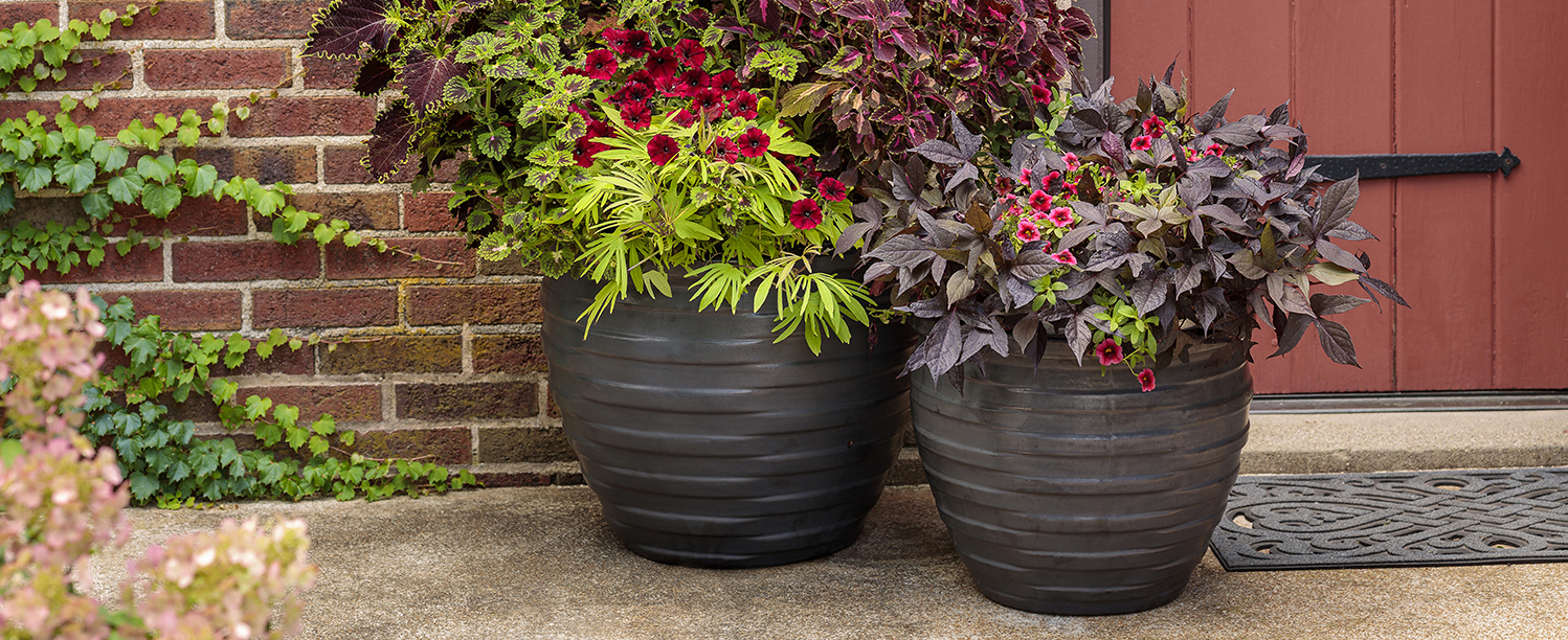 Welcome to Raines Farms